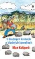 The original deacon and psychiatrist Max Kašparů and his new book ABOUT THE VICIOUS CIRCLES AND LOST ROCKS in Slovakia